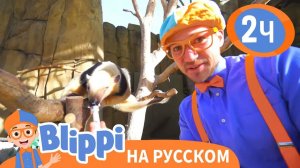 Блиппи изучает животных в зоопарке _ Обучающие видео для детей _ Blippi Russian