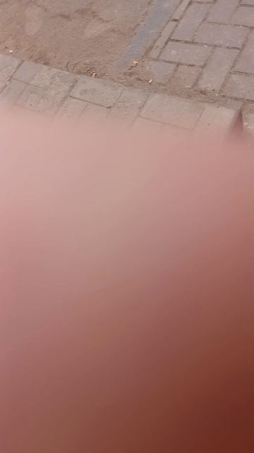 видео 1