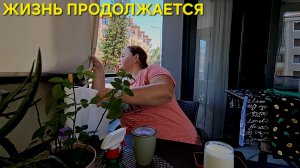 ДРУЗЬЯ РАЗЪЕХАЛИСЬ А Я СТРОЮ ПЛАНЫ