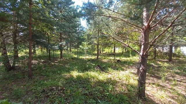 участок на озере СИНГУЛЬ.Тюмень июль 2026