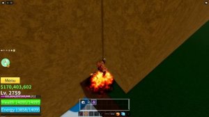 ПРЯТКИ ФРУКТОВ НА ФРУКТ ТИГРА В BLOX FRUITS @vankayofficial