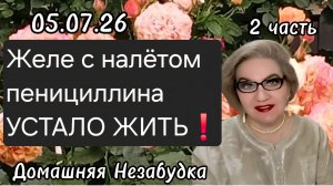 2 часть. Желе с налётом пенициллина УСТАЛО ЖИТЬ😭❗️
