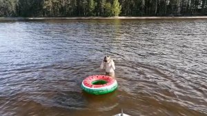 Купаемся.