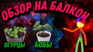 ОБЗОР НА МОЙ БАЛКОН #2,