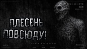 Плесень повсюду Страшные истории на ночь. Мистика. Страшилки на ночь.
