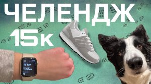 Челендж 15 тысяч шагов за день с собакой 🤯 #влог #деньссобакой #бордерколли #челендж #окки #собака