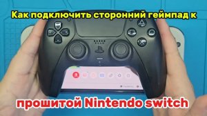 Как подключить сторонний геймпад к прошитой Nintendo Switch?