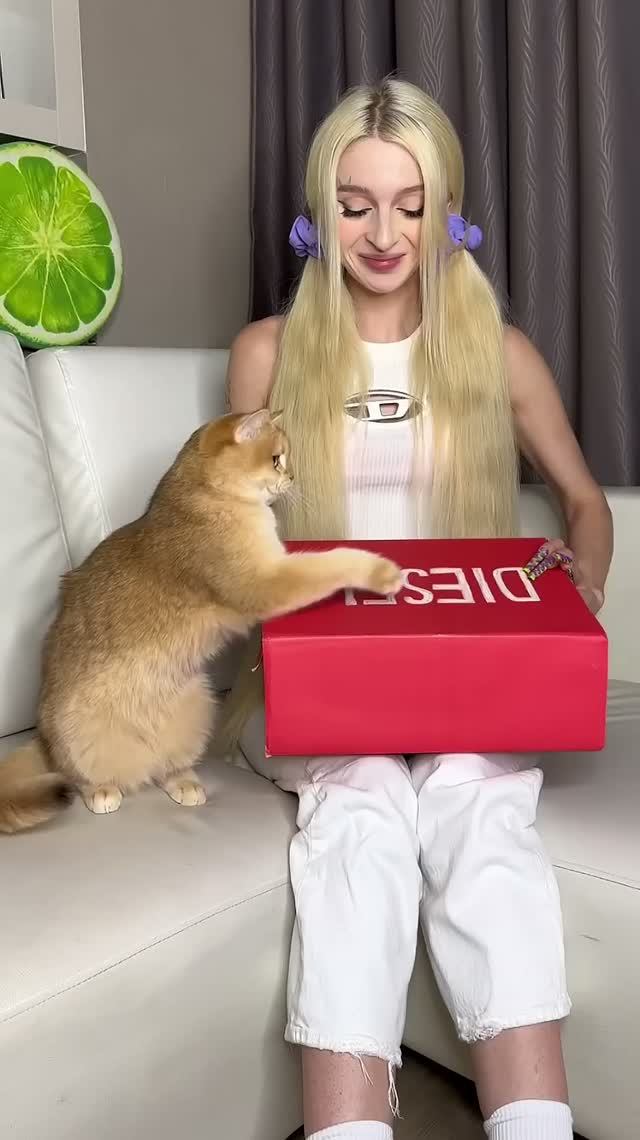 Развлечение ЮМОР