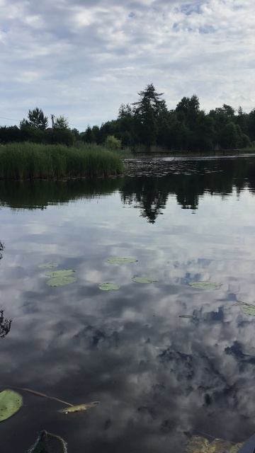 Рыбалка