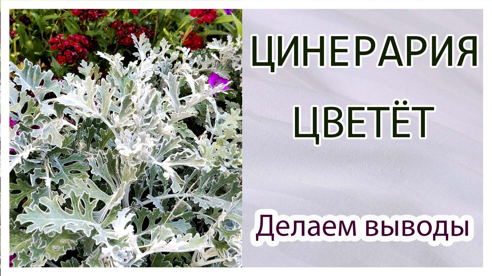 Наш сад-огород и хозяйство