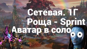Сетевая.1Г. Роща - Аватар в соло. Sprint