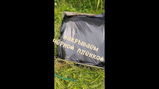 Борьба с нематодой продолжается