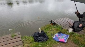 VID-20260704-WA0007