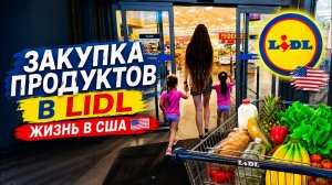 ЦЕНЫ на продукты в Американском LIDL. Рабочие будни в США. VLOG