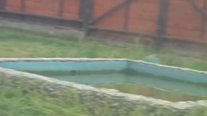 PXSZ4230_04.07.2026-видео_от_Светланы