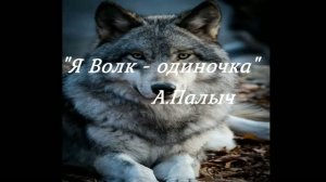 «Я Волк-Одиночка» А. Палыч