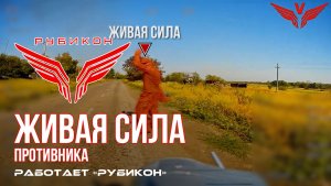 Живая сила противника. «Рубикон» продолжает раздавать порции пластида пехоте ВСУ в зоне СВО