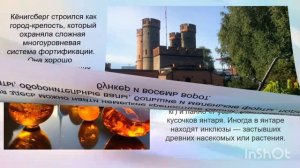Интересные факты о Калининградской области
