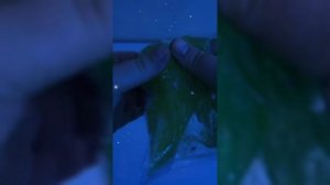 Сверкающий Слайм Для Детей