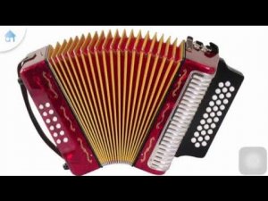Учим слова - музыкальные инструменты. Learn the words - musical instruments