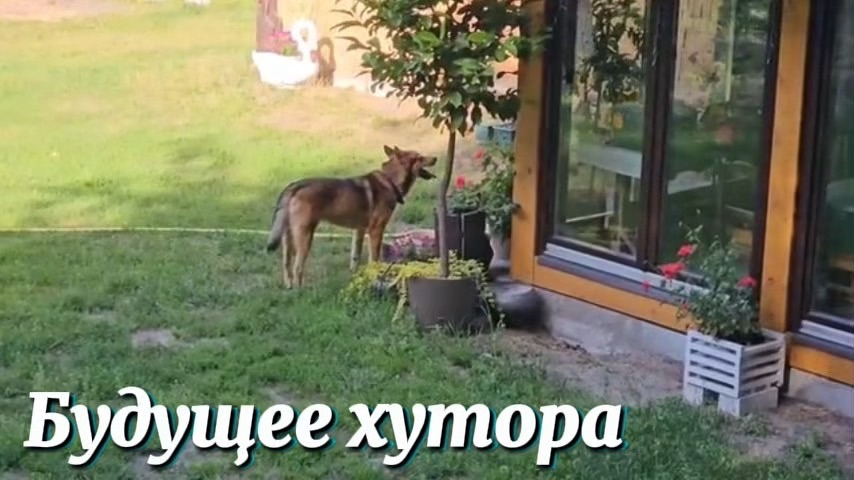 хуторяни