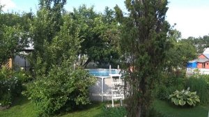 Дорвалась до воды. Сорта роз у Леночки в саду. Подглядывают за Борисом 🤣🤣🤣🤣.