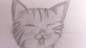 полосатый котенок карандашом на бумаге