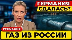 Вайдель ШОКИРОВАЛА НЕМЦЕВ: Снова купим газ у России!