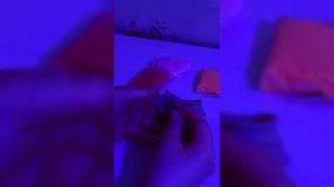 Развивашка цветная буря
