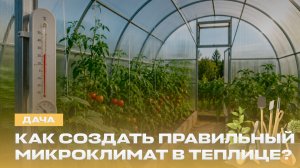 🍅 Почему теплице нужен свежий воздух? Лучшие томаты и умные технологии | Дача