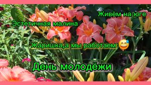 04-07-2026/Краснодарский край/Южные будни/Варенье/Малина/Обработка огурцов/День молодёжи//