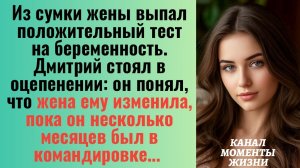 Истории из жизни/Из сумки жены выпал положительный тест на беременность/Аудиорассказы жизненные муж