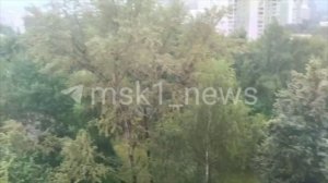 Ливень накрыл Северное Чертаново