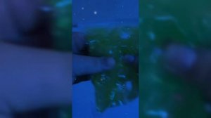 Неоновые Краски За Минуту
