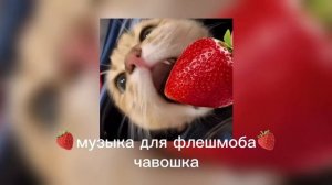 музыка для флешмоба!!🫶🏻//песни из тт//2024-2025г😛//🍓//