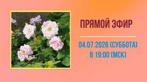 Анонс эфира 04.07.2026