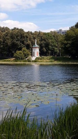 Приезжайте на Головинские пруды!