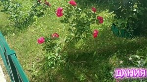 ХОРОШАЯ ПЕСНЯ**КТО ТЕБЯ ОБНИМЕТ**БЕРЕГИТЕ ДРУГ ДРУГА. КРАСИВЫЕ ЦВЕТЫ💐.