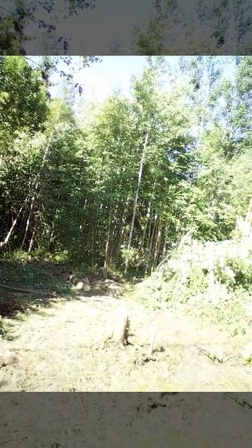 Приехал на участок.руки в мазолях