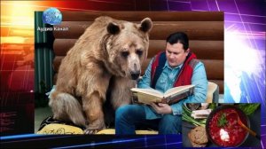 Борщ под санкциями: каким будет 137-й пакет ЕС против России