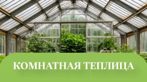 УКЛАДЫВАЕТСЯ ГРУНТ ПО ЭТАПНО