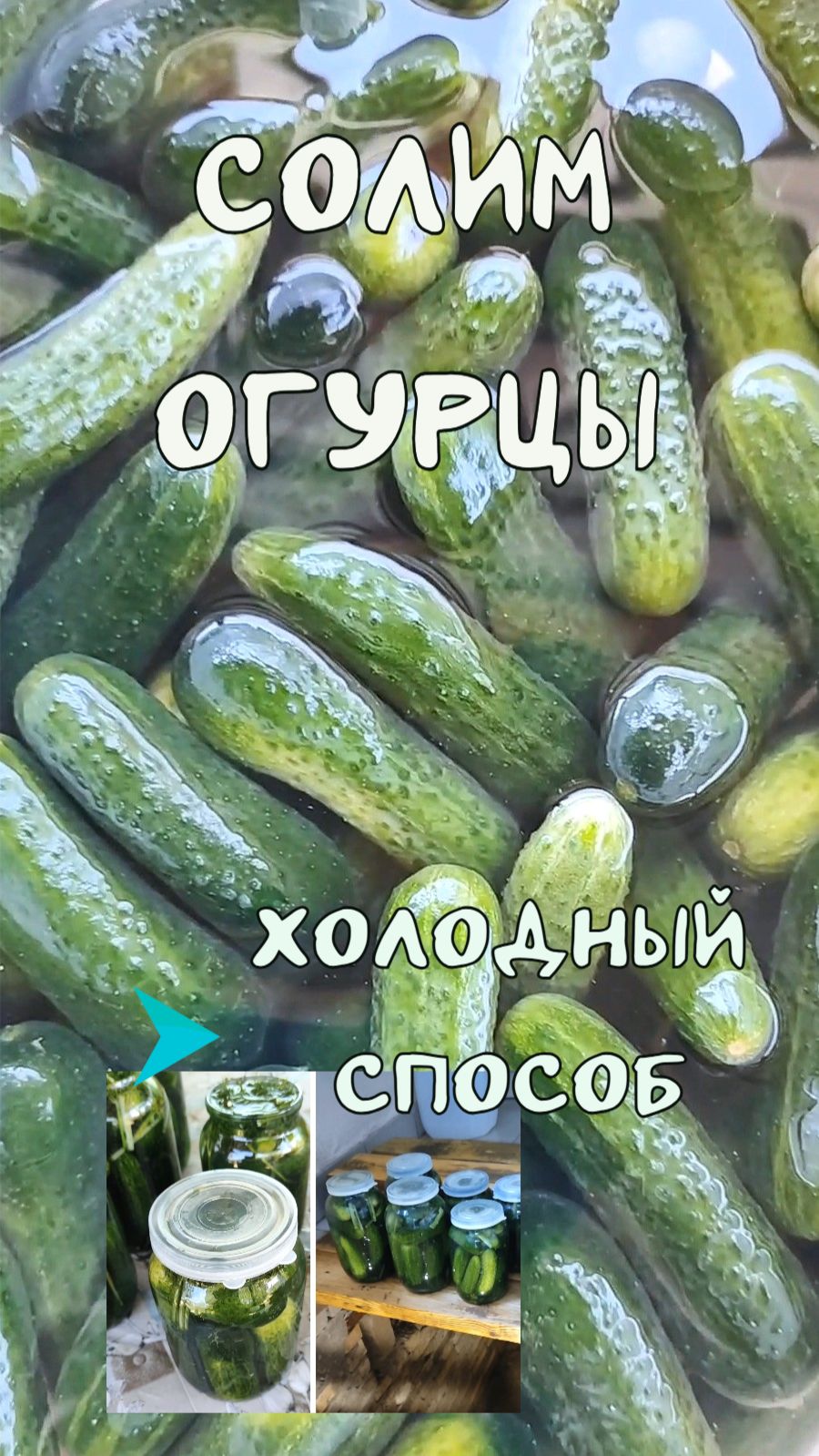 Солим огурцы на зиму. Холодный способ.