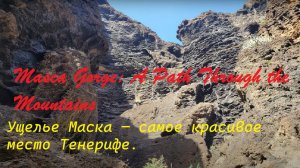 Ущелье Маска, Тенерифе: советы, маршрут и незабываемые виды 🏞️ Maska Gorge Tenerife
