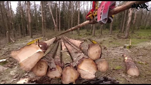 🌲*Горец в действии* • HL20-1 - 6 Rad • Steilhang-Harvester • Konrad-Forsttechnik • CabView🌲 смотреть онлайн