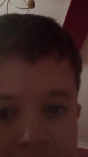 слежу за всеми
