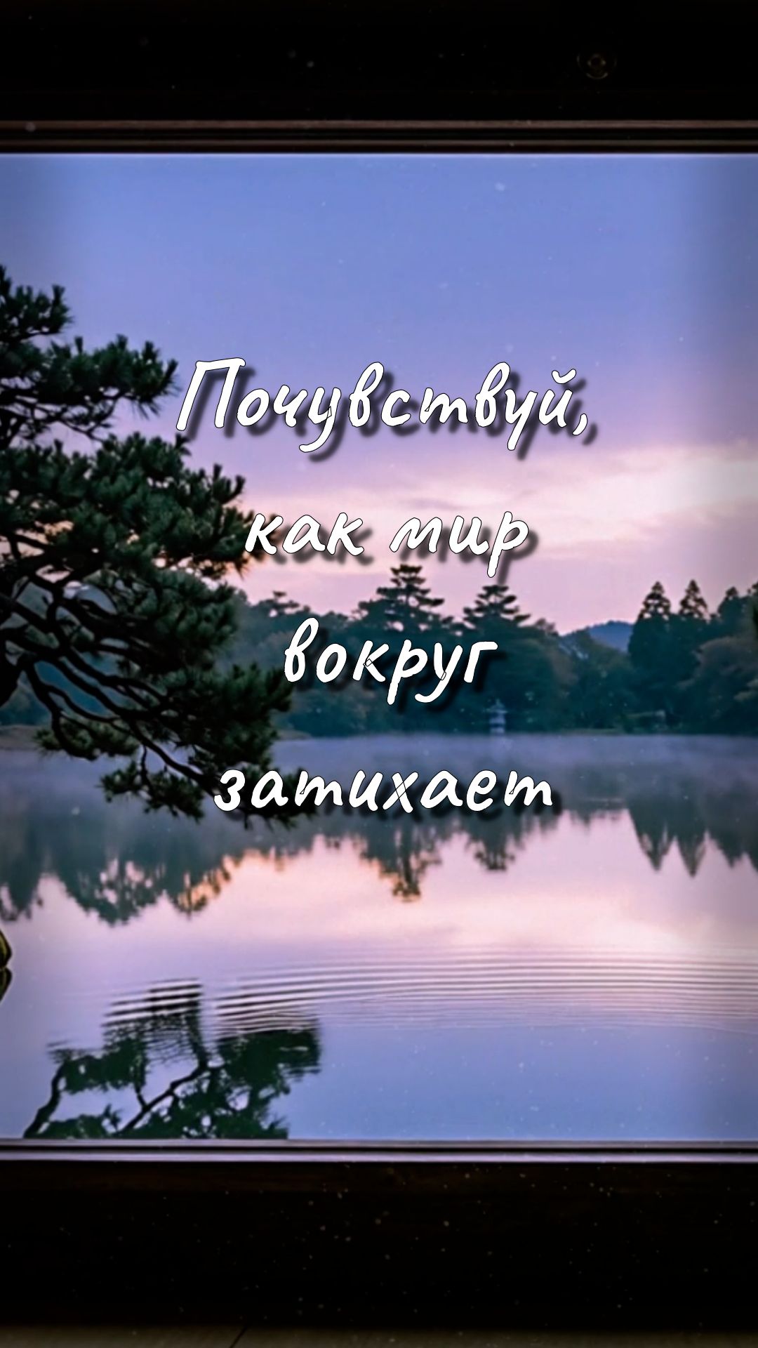 Тишина лесного озера: музыка для медитации и отдыха 🌿🌊 #Shorts #Эмбиент #Velum