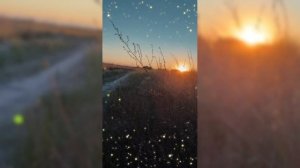 Закатные краски и блеск