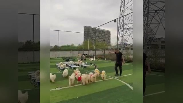 БЫВАЕТ смотреть онлайн