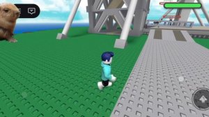 Играю в Natural disaster survival