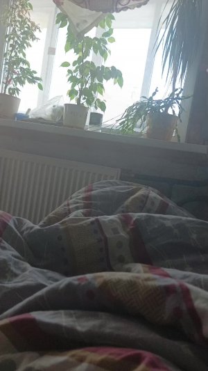 СРОЧНЫЕ НОВОСТИ